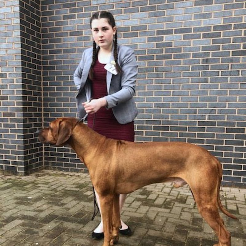 Talented dog handler qualifies for Crufts 2021