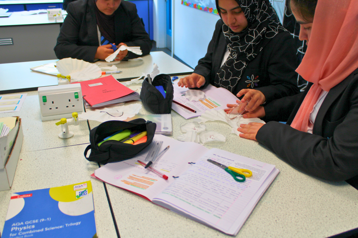 Sowing the Seeds of Success: Year 10 Biology Investigation 🌱