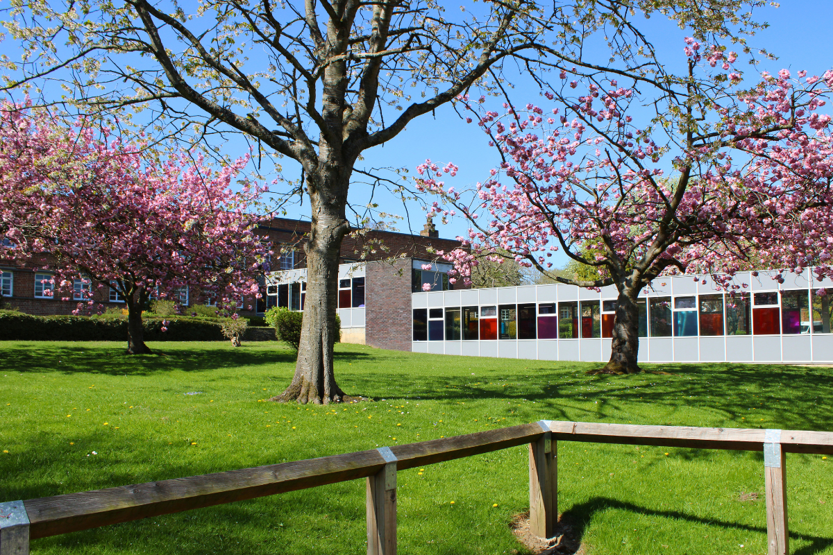 Risedale School in Bloom 🌷✨ 