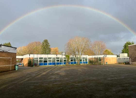 Risedale School: Embracing diversity and brilliance, one colour at a time.