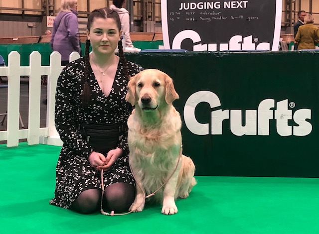 HOT Kennel Club Dave The Boxer Crufts Kennel Club Boxer Wins