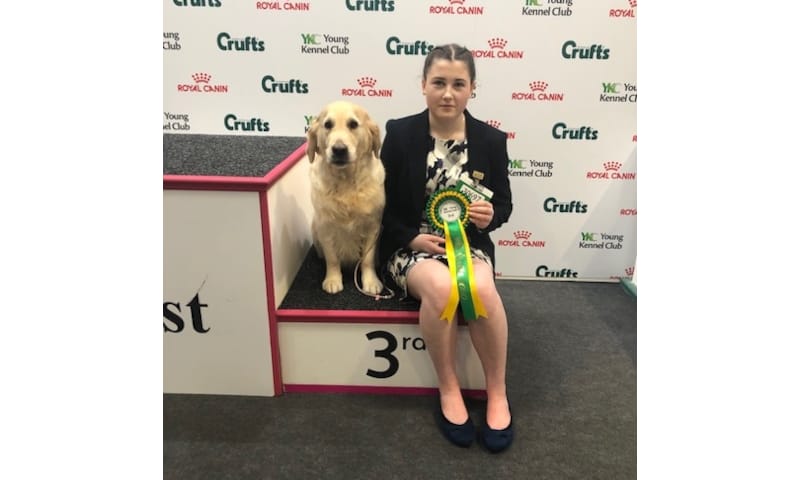 Crufts 2020 success for Risedale student Eryn
