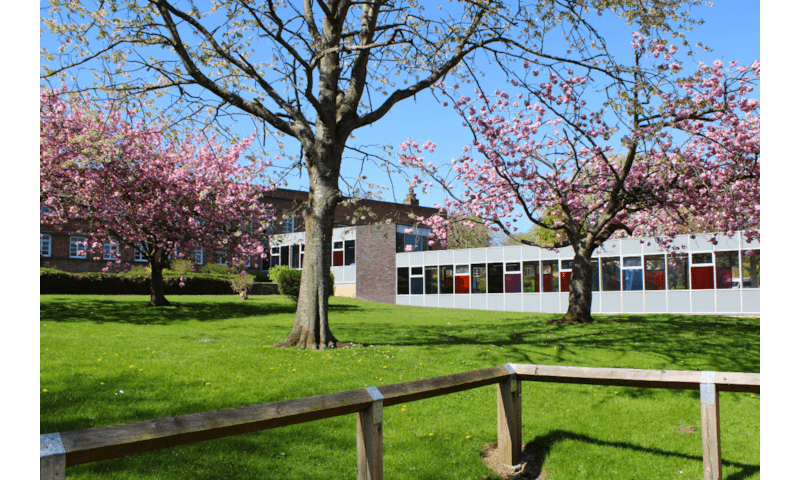 Spring is well and truly here at Risedale! 🌷✨