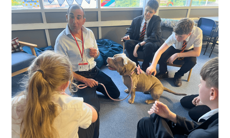 Pumbaa the Therapy Dog Brings Smiles to Risedale School 🐶