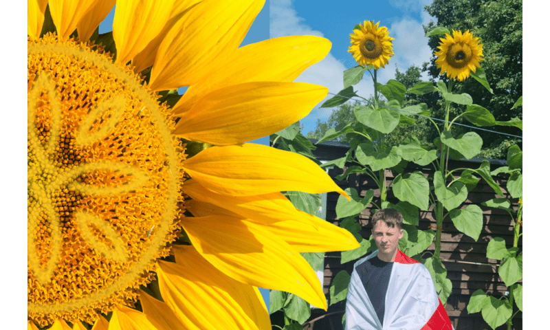 Sunflower Competition Winners
