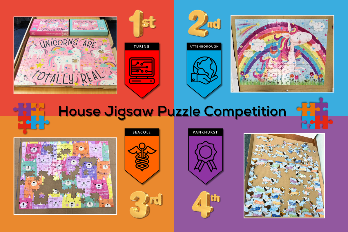 House Jigsaw Competition