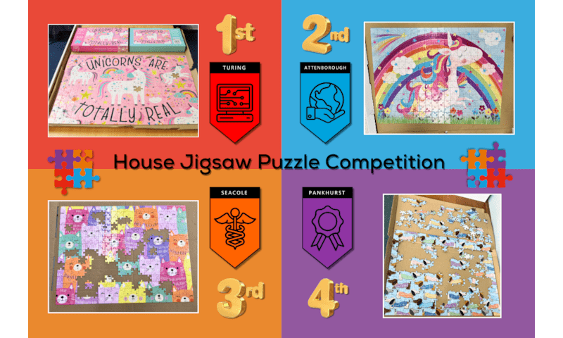 House Jigsaw Competition