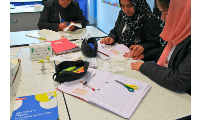 Sowing the Seeds of Success: Year 10 Biology Investigation 🌱