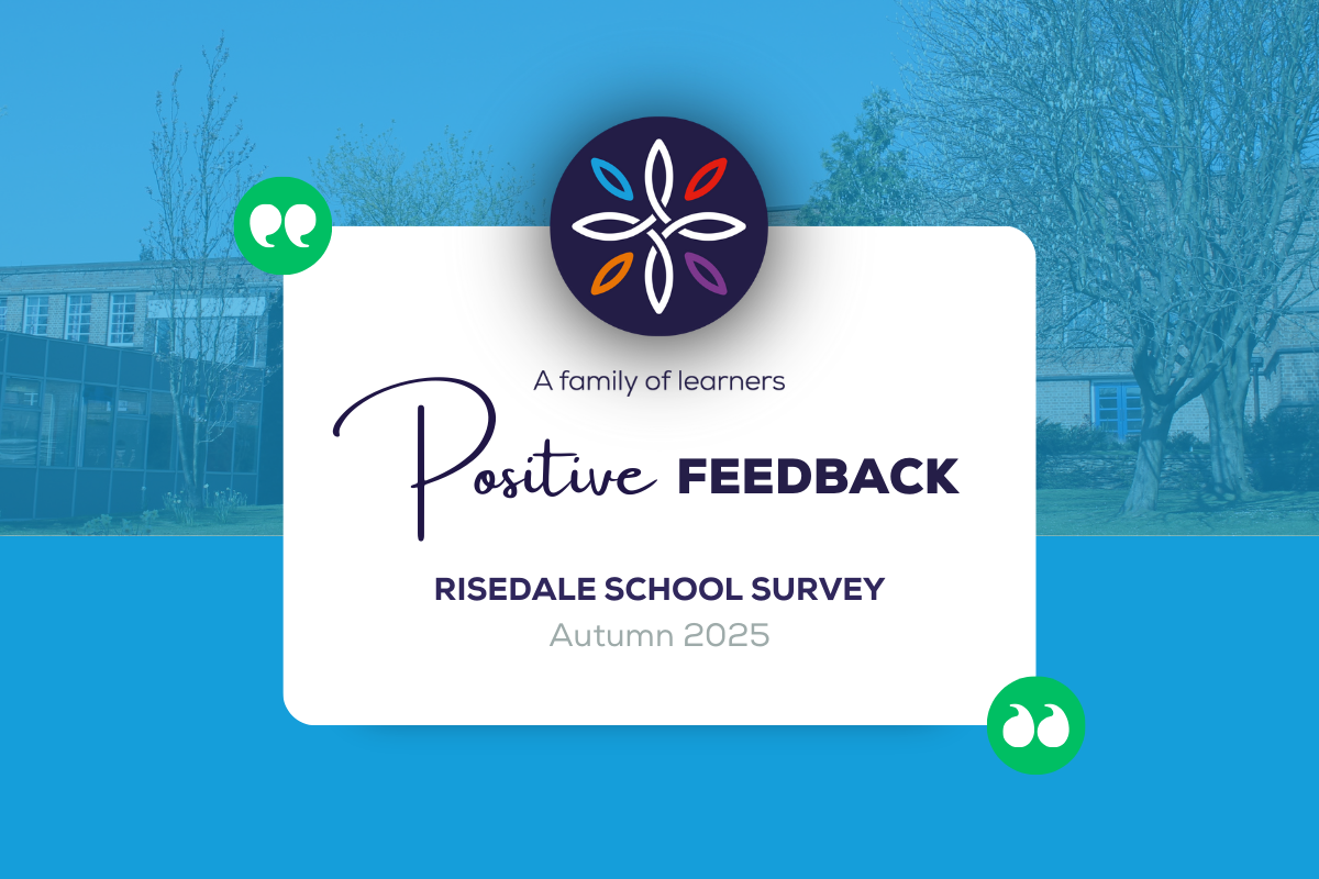 Stakeholder Voice Feedback