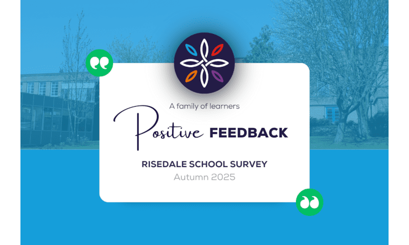 Stakeholder Voice Feedback