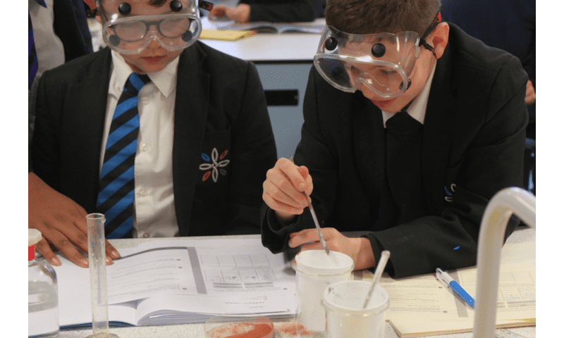 Year 8: Masters of Thermodynamics 🌡️