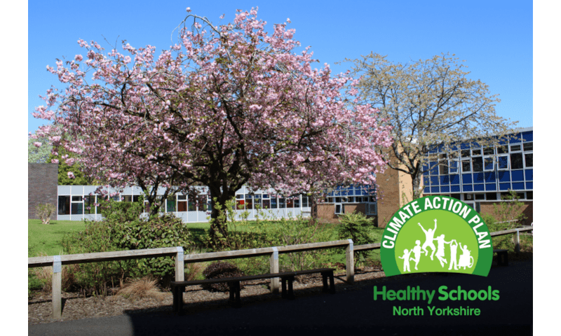 Risedale Leads the Way with New Climate Action Plan