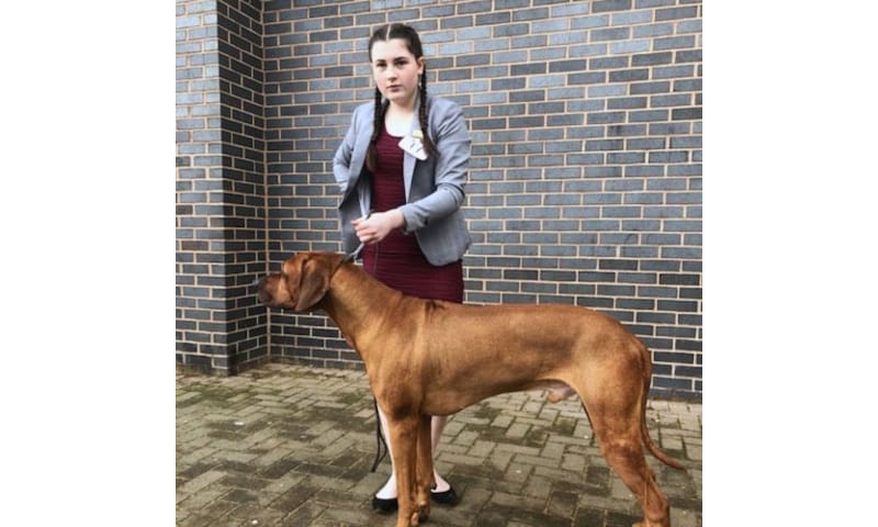 Talented dog handler qualifies for Crufts 2021