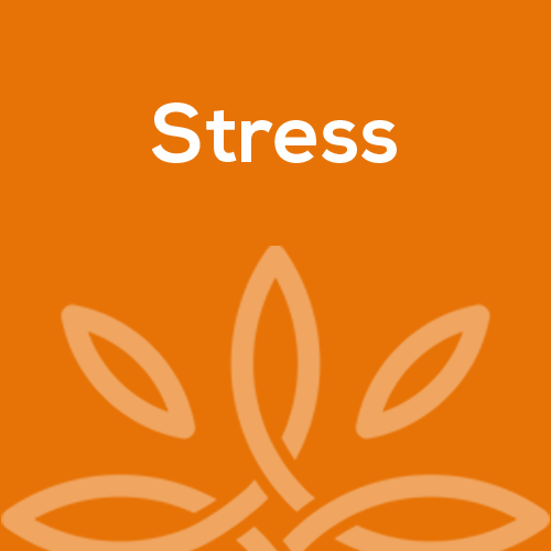 Stress